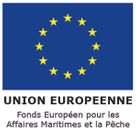 icône Union Européenne