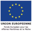 icône Union Européenne