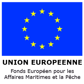 icône Union Européenne